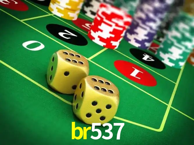 Bonus Features br537