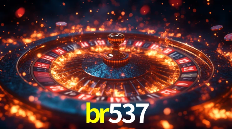 Premium Interface br537